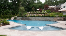 Freeform pool with tanning ledge