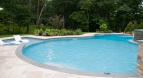 Freeform pool with tanning ledge